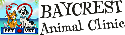 Baycrest Animal Clinic Home